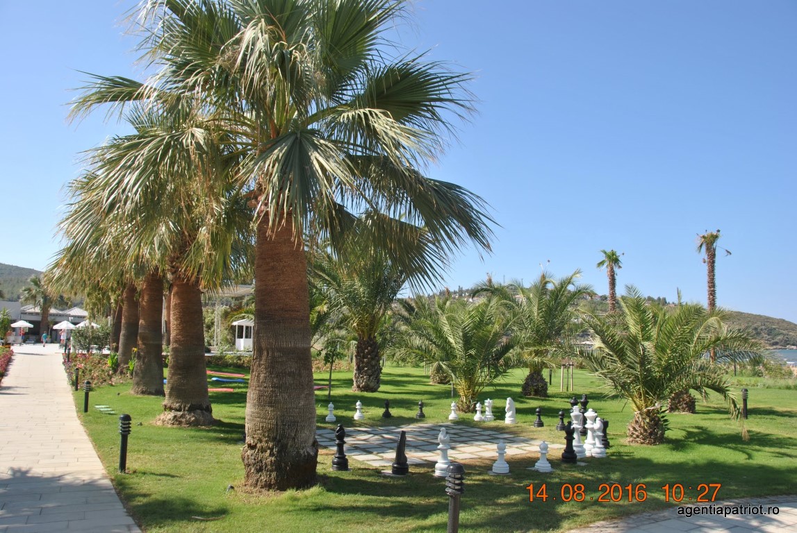 imagini hotel PALM WINGS EPHESUS